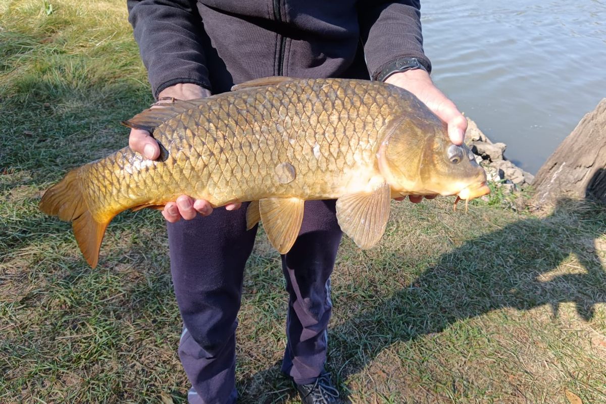 A person holding a fish outdoors near a body of water, not providing relevant information about the residential property.