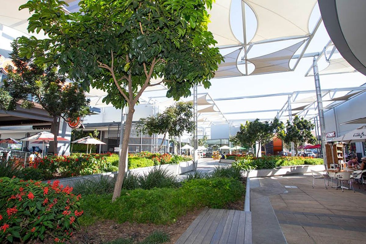 A modern commercial outdoor plaza featuring tensile fabric shade structures, paved walkways, and landscaped garden beds with integrated seating areas.