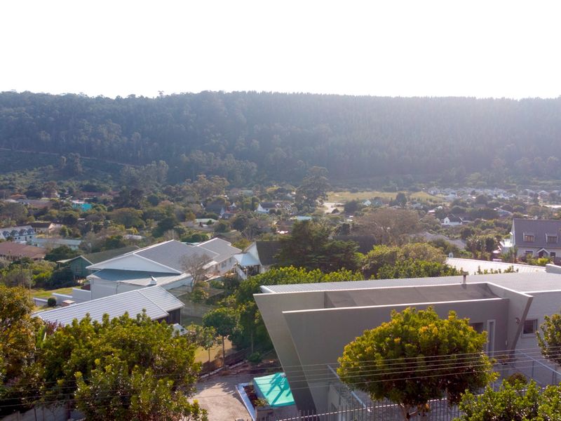 Elevated North-Facing Vacant Land with Spectacular Views - Build your Dream Home - Photo 9