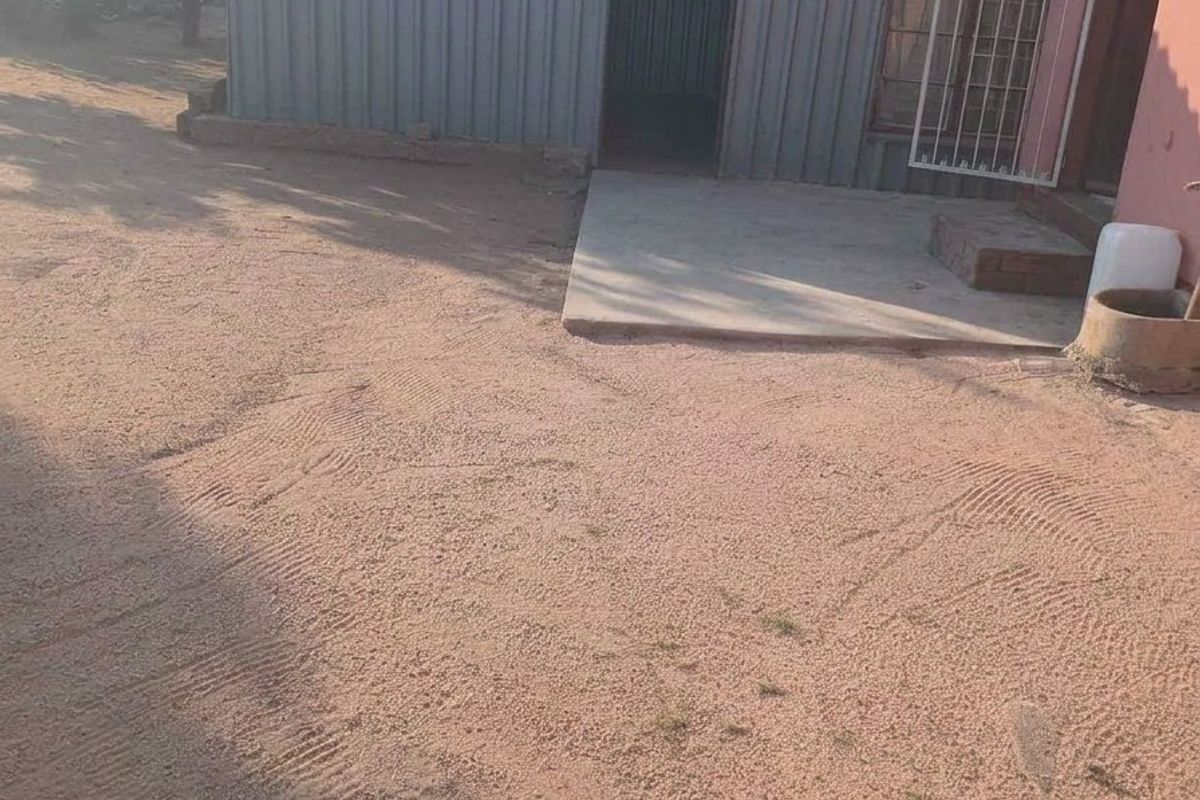 Rear exterior view showing a corrugated metal shed, a concrete patio area, and an unpaved sandy yard.