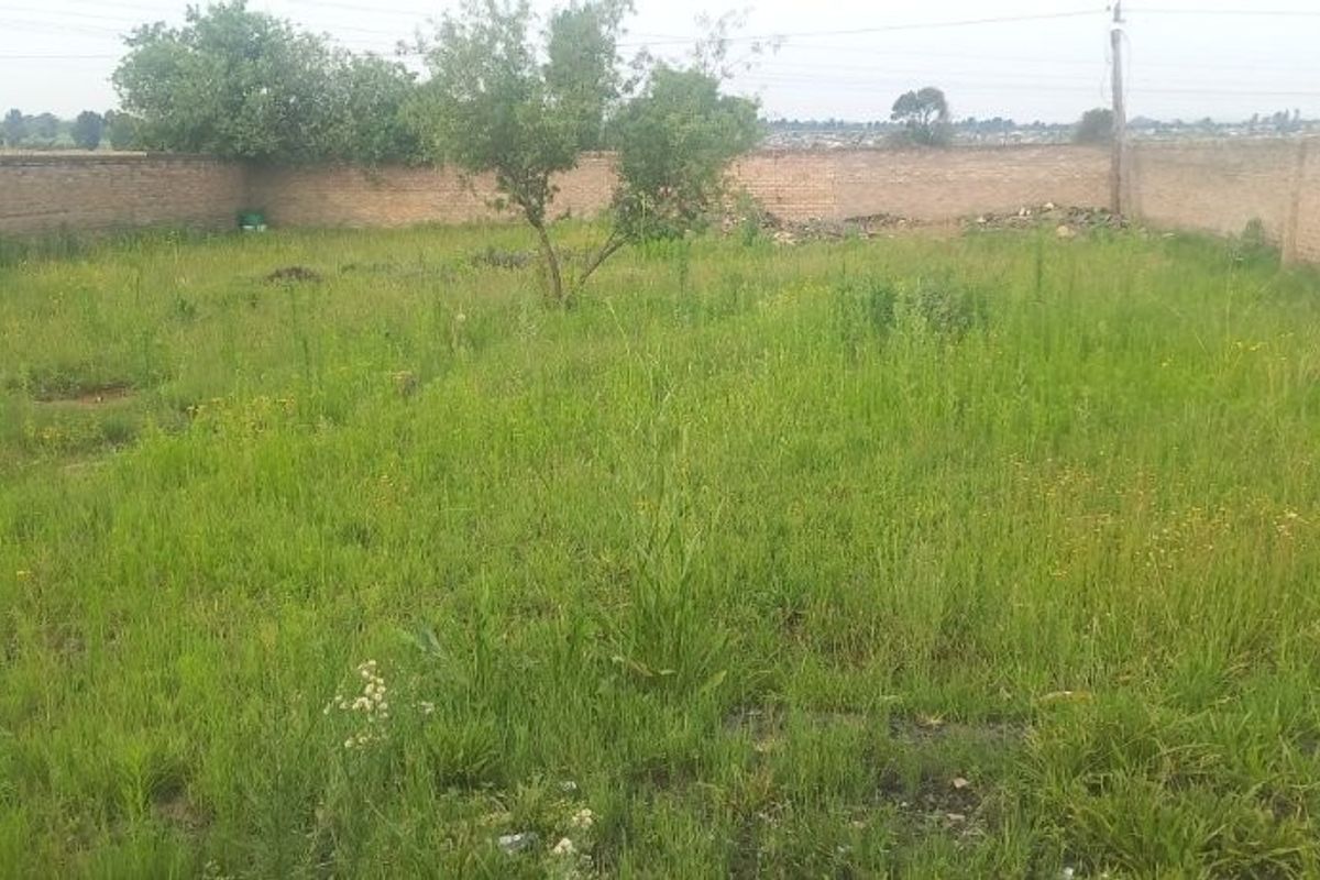 A vacant residential plot featuring an overgrown grass area enclosed by a perimeter brick wall.