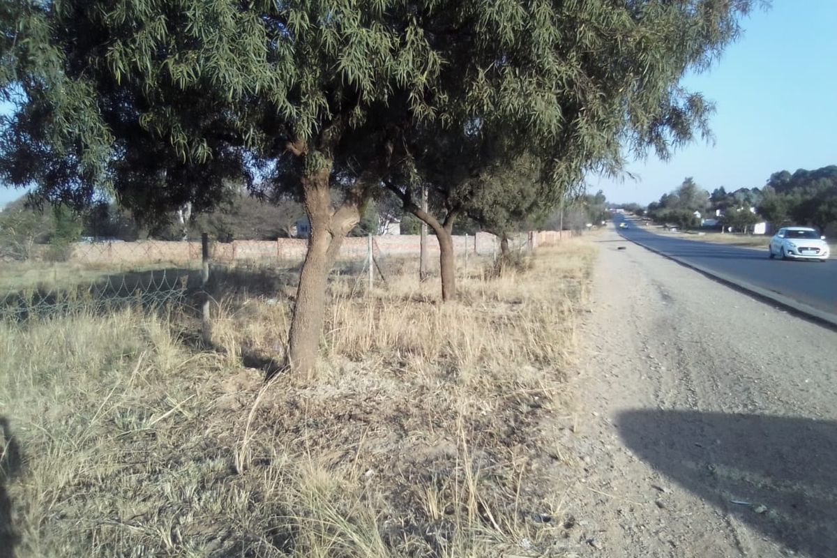 A view of the property boundary featuring mature trees, wire fencing, and a brick wall along the adjacent public road.