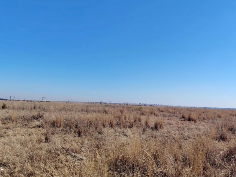 33.9 Hectare farm with Vaal Dam access with endless potential - Photo 5
