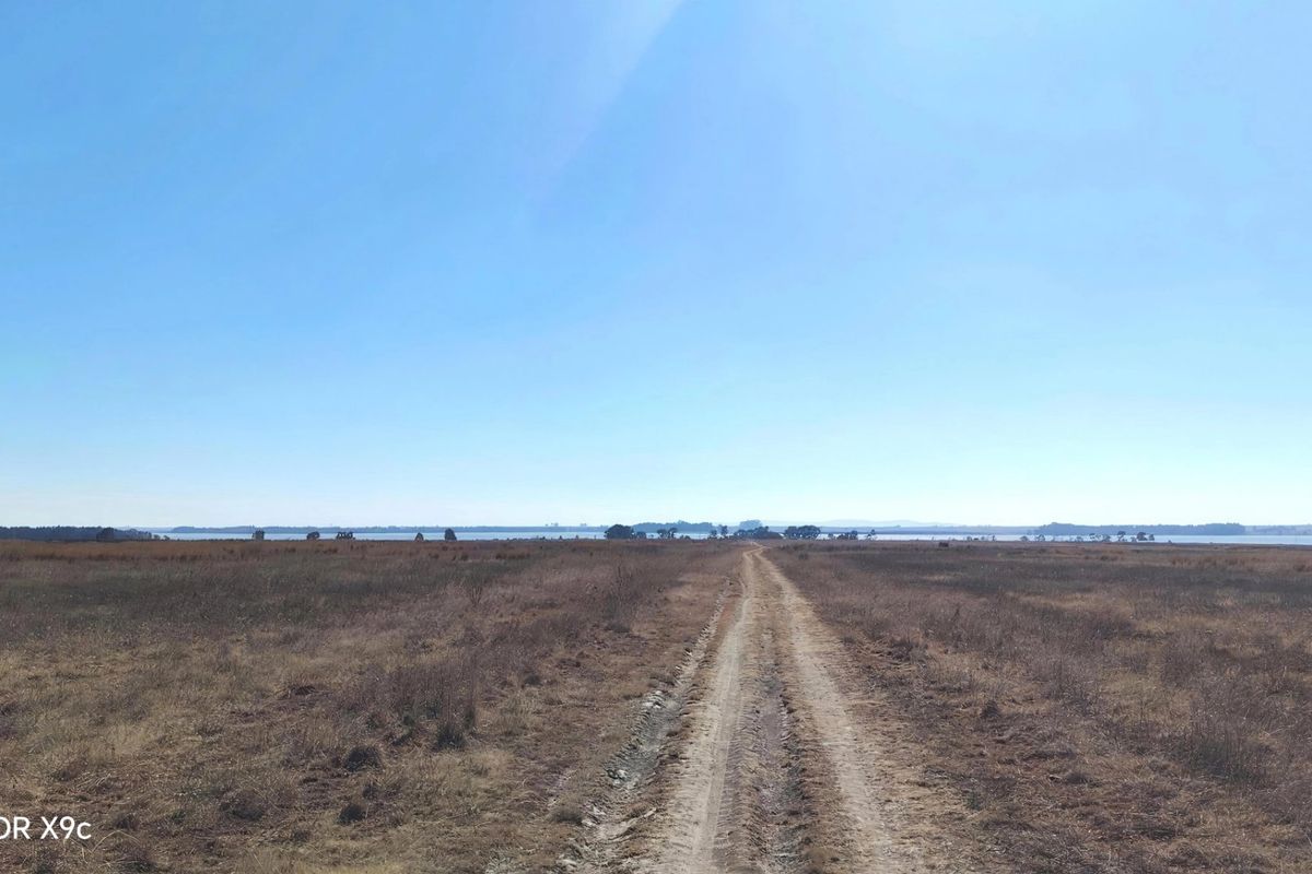 Expansive rural landscape view featuring a dirt track leading towards a distant horizon and water body.