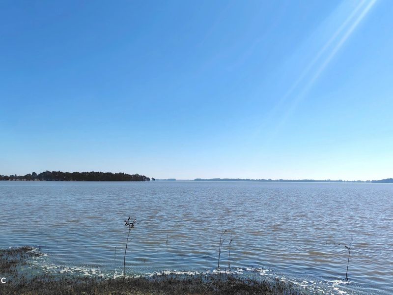 33.9 Hectare farm with Vaal Dam access with endless potential - Photo 2
