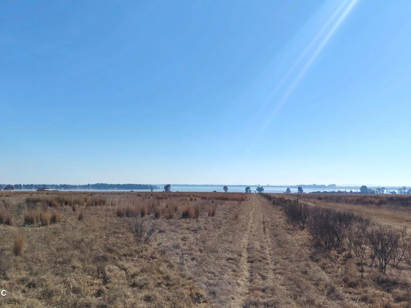 33.9 Hectare farm with Vaal Dam access with endless potential - Photo 9