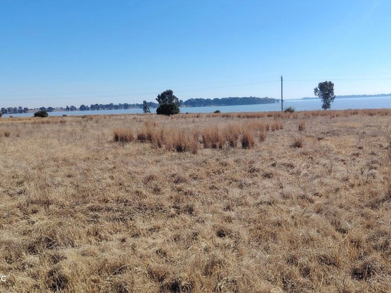33.9 Hectare farm with Vaal Dam access with endless potential - Photo 10