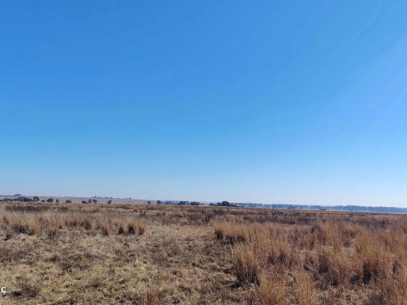33.9 Hectare farm with Vaal Dam access with endless potential - Photo 8