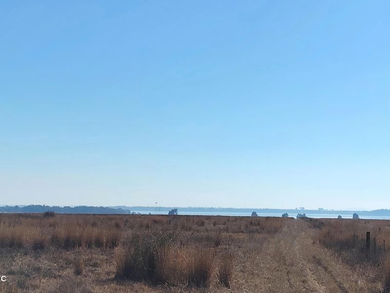 33.9 Hectare farm with Vaal Dam access with endless potential - Photo 7