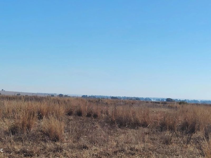 33.9 Hectare farm with Vaal Dam access with endless potential - Photo 6