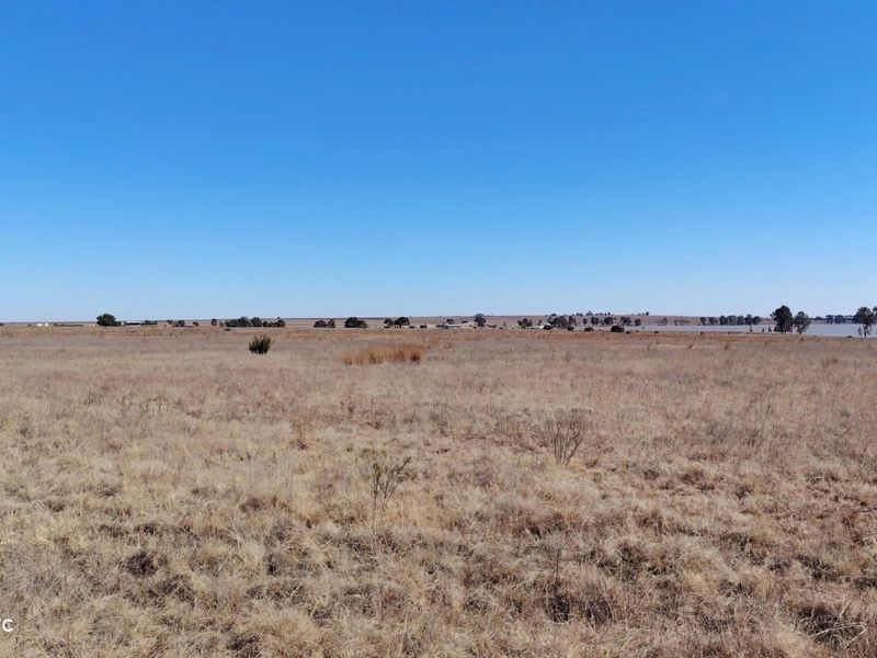 26.4 Hectare farm with cottage & Vaal Dam access - Photo 4