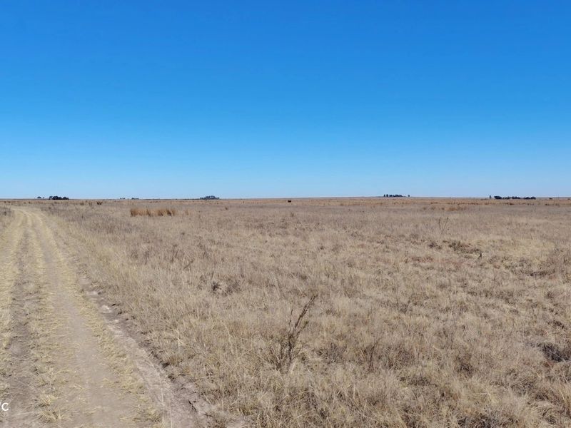 26.4 Hectare farm with cottage & Vaal Dam access - Photo 5