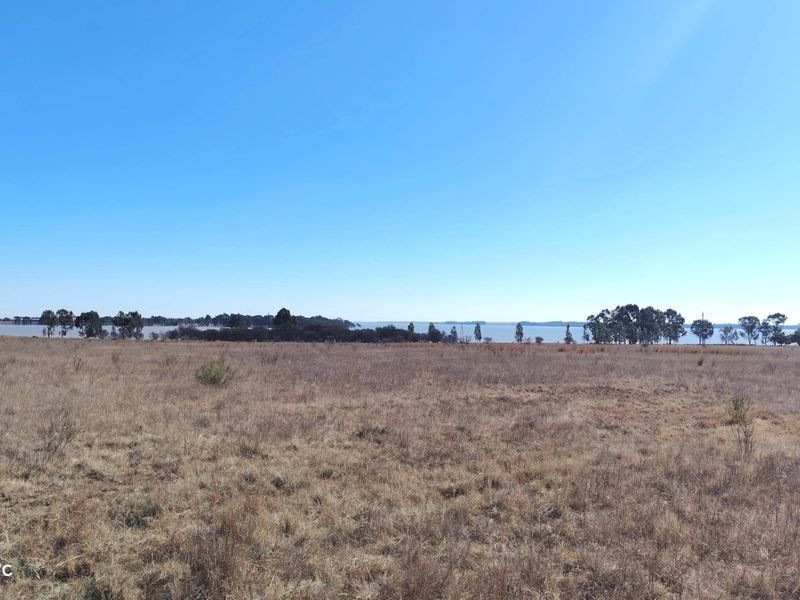 26.4 Hectare farm with cottage & Vaal Dam access - Photo 2