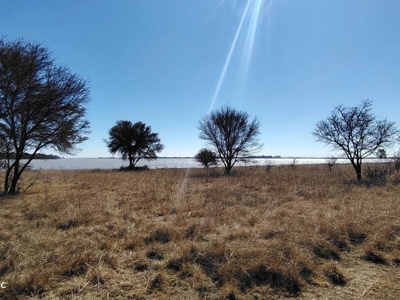 26.4 Hectare farm with cottage & Vaal Dam access - Photo 9