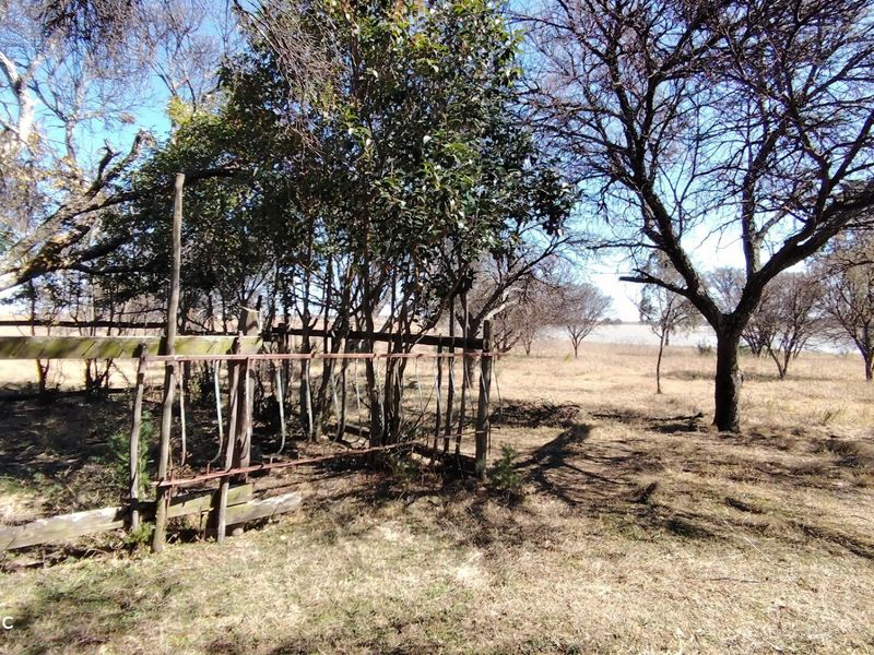 26.4 Hectare farm with cottage & Vaal Dam access - Photo 8