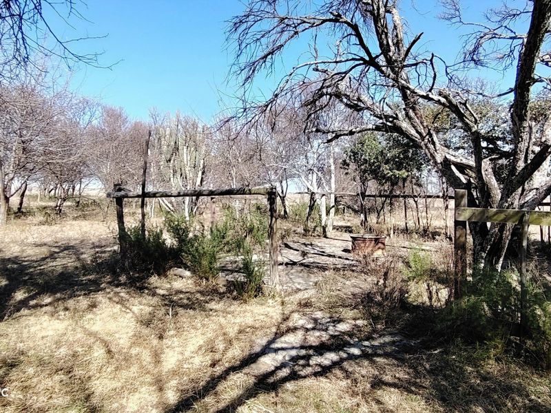 26.4 Hectare farm with cottage & Vaal Dam access - Photo 7