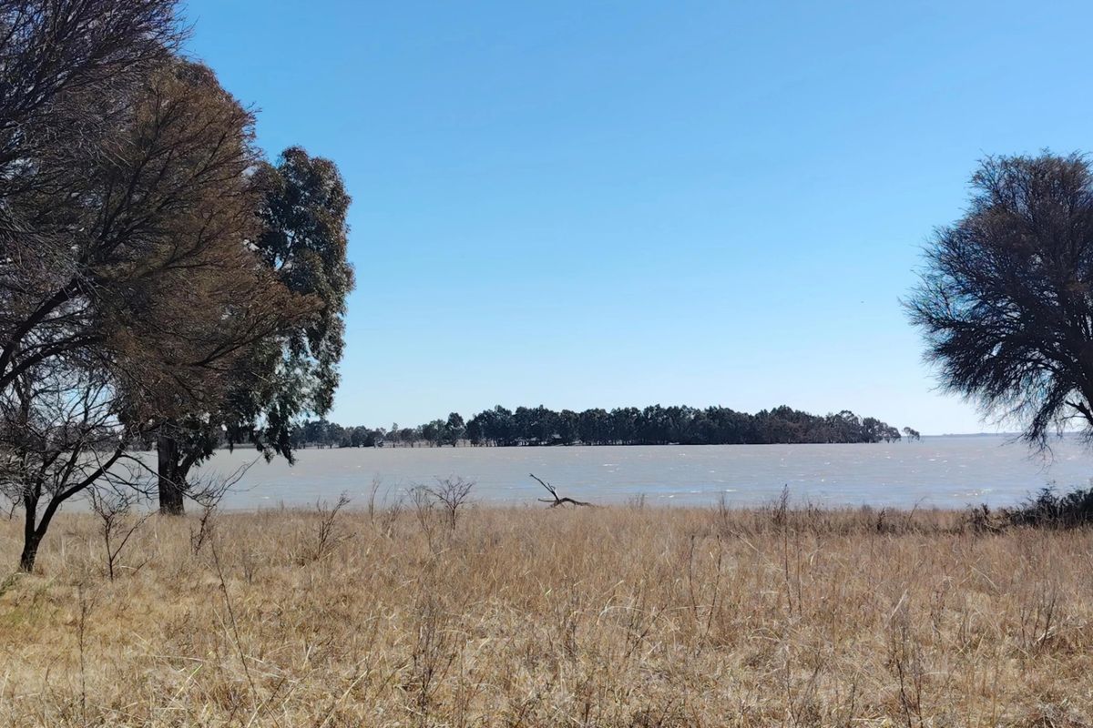 A scenic view of a large lake bordered by mature trees and natural dry grassland on the farm property.