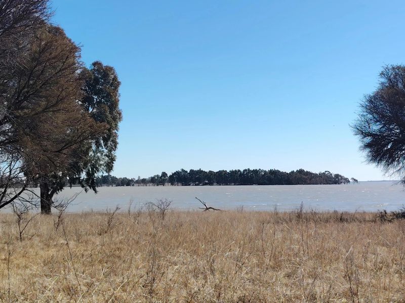 26.4 Hectare farm with cottage & Vaal Dam access - Photo 3