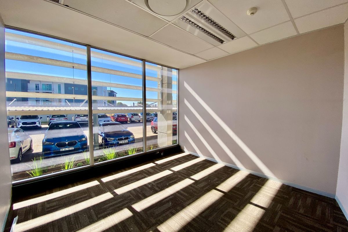 A bright, empty office space featuring floor-to-ceiling windows, carpeted flooring, and a suspended ceiling with integrated lighting.