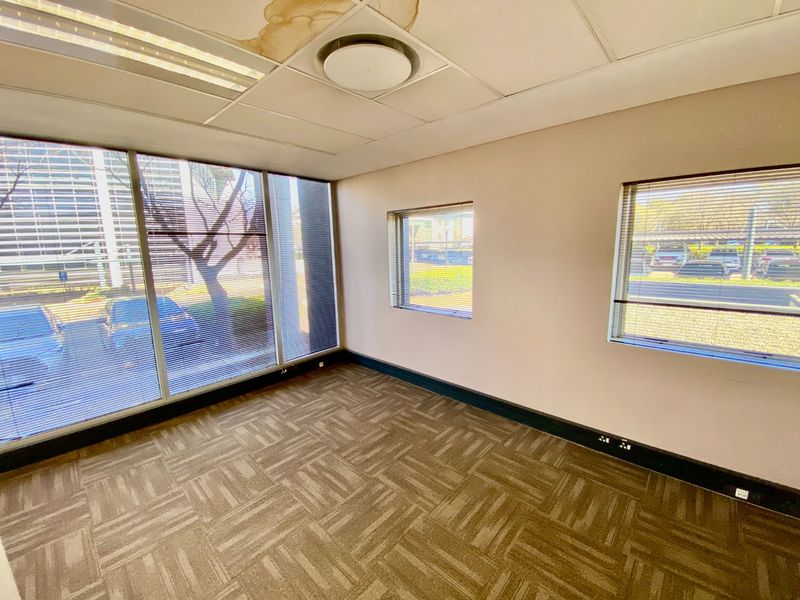 Empty commercial office space featuring carpet tiles, large windows with blinds, and a suspended ceiling with visible water damage.
