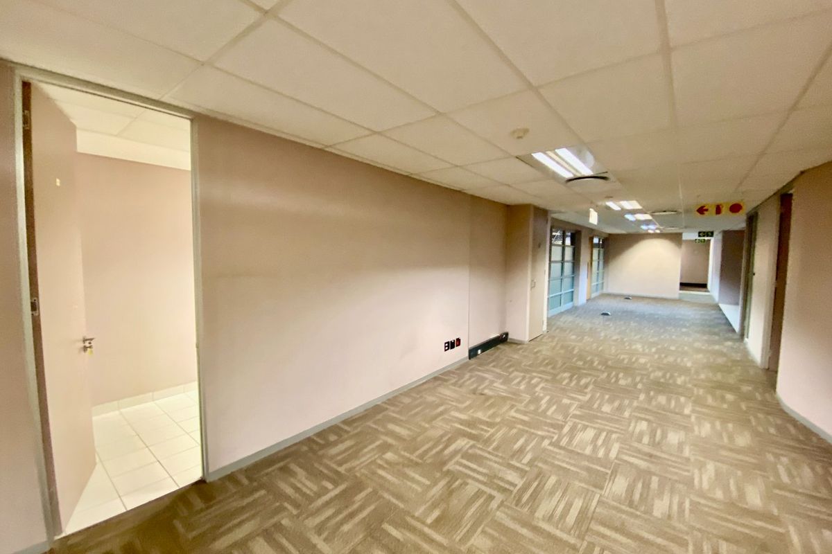 A vacant commercial hallway featuring suspended ceilings, recessed lighting, and carpet tile flooring, providing access to multiple internal office spaces.