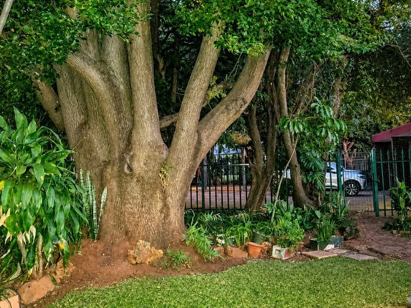 5 Bedroom House for sale in Murrayfield - Photo 5