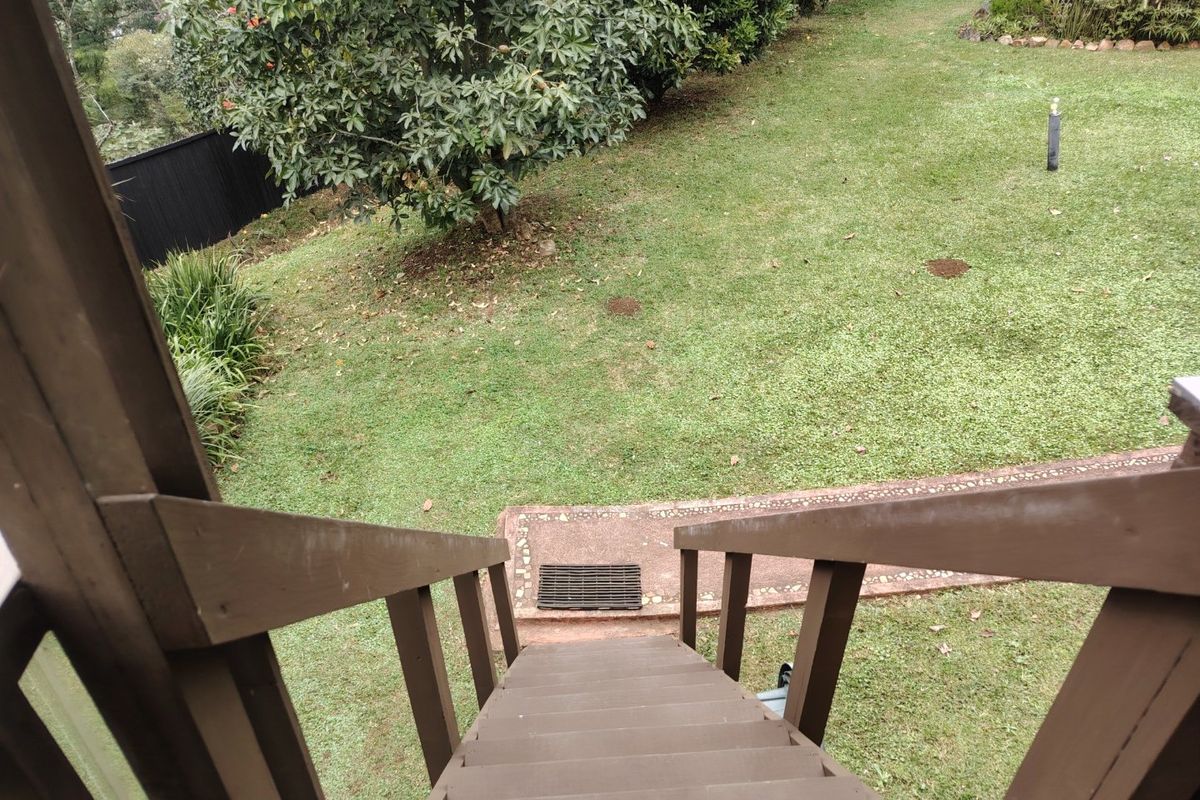 An elevated view looking down a wooden staircase leading to a private rear garden with a stone-bordered path and established greenery.