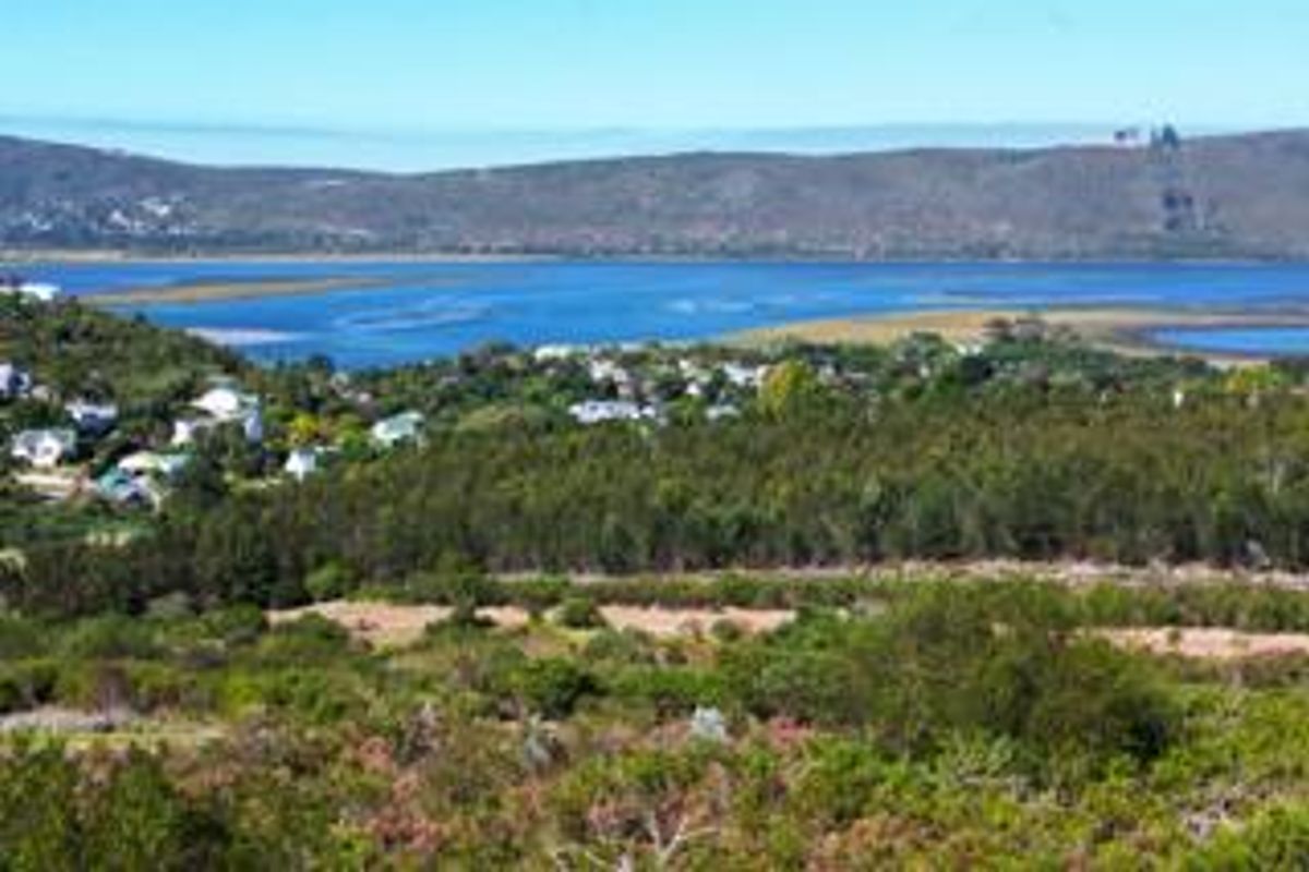 A scenic elevated view overlooking the lagoon, surrounding natural vegetation, and distant residential properties.