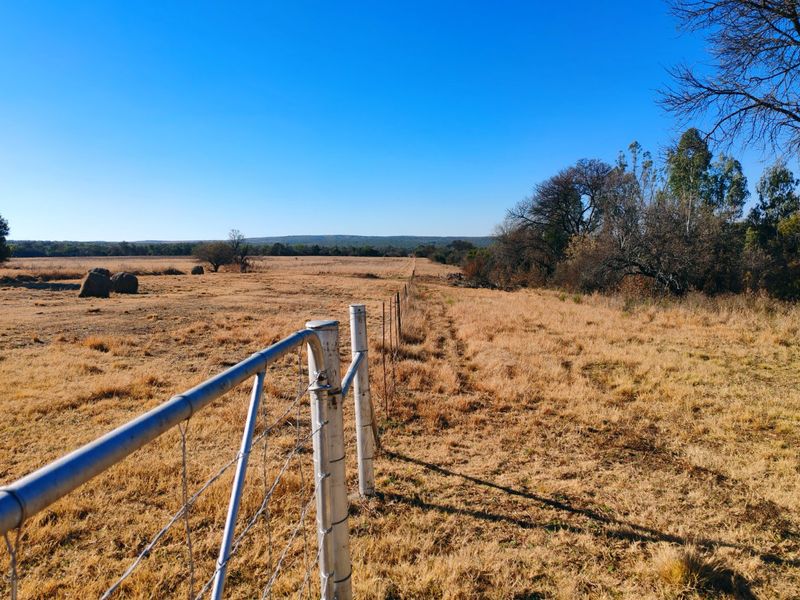 A wide-angle view of the expansive farm landscape, featuring dry grassland, mature trees, and perimeter wire fencing with a metal gate.