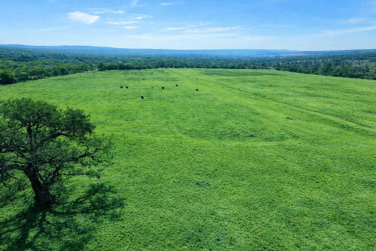 An aerial view of a large, open green pasture on a farm, featuring mature trees and expansive landscape views.