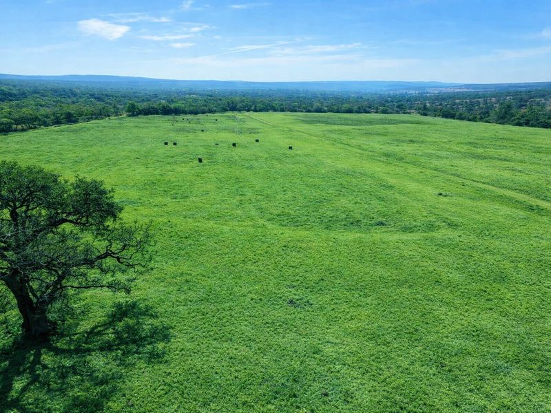 An aerial view of a large, open green pasture on a farm, featuring mature trees and expansive landscape views.