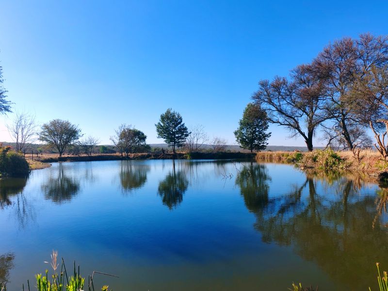 A scenic view of a tranquil farm dam surrounded by mature trees and natural vegetation under a clear blue sky.