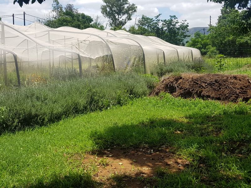 A farm garden area featuring an agricultural netting structure for crop protection, perimeter fencing, and established green space.