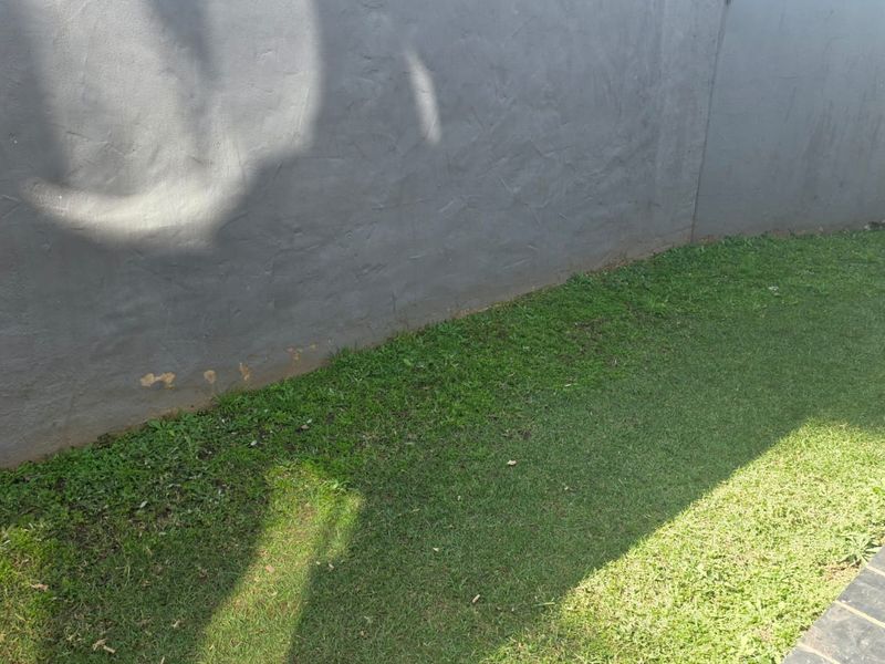 A small garden area featuring a grass lawn, a paved border, and a grey boundary wall showing signs of paint wear.
