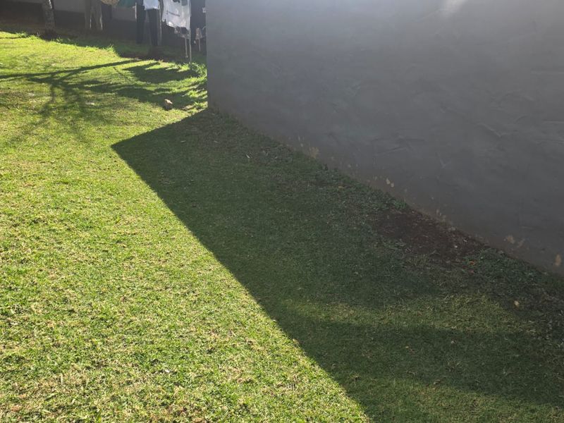 A view of a residential garden area featuring a lawn and a painted retaining wall with visible surface wear.