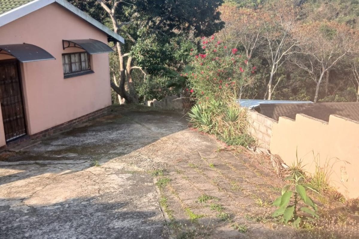 Rear exterior view of the property featuring a concrete paved area, boundary wall, and established garden surroundings.