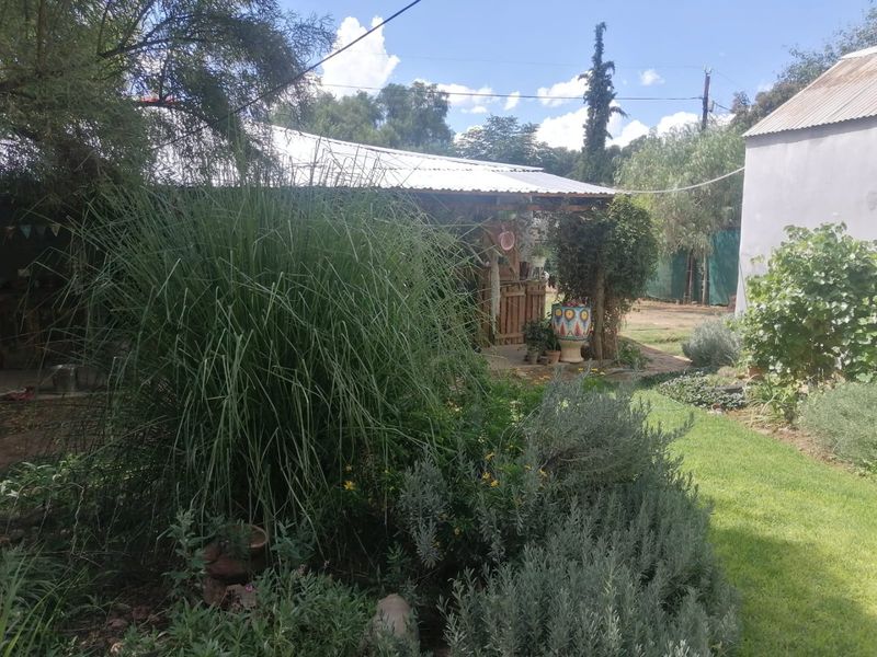 3 Bedroom house with cottage, Bethulie - Photo 3