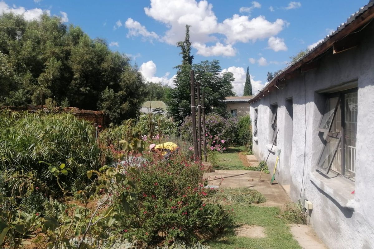Rear view of the property featuring a plastered exterior, steel-framed windows, and a garden area with a concrete pathway.