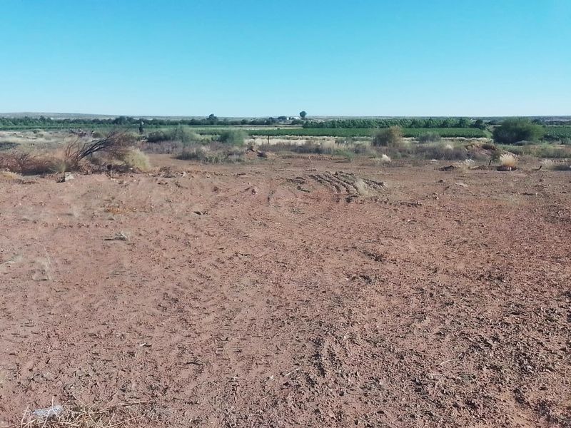 A view of a vacant residential plot featuring cleared earth and natural landscape, suitable for future development.
