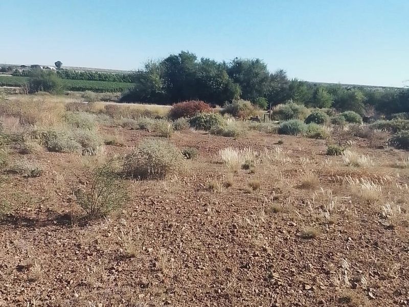 A view of the vacant residential land featuring natural vegetation and rocky terrain.