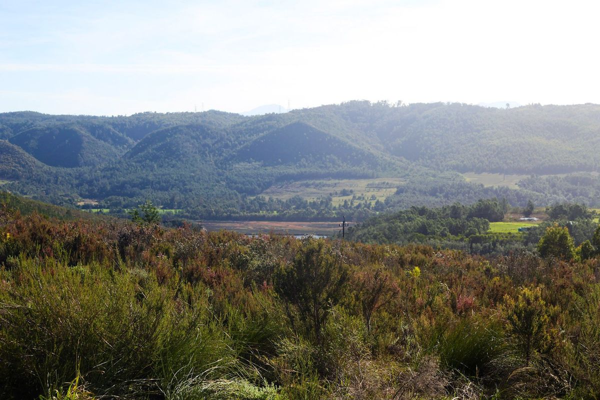 A scenic, elevated view overlooking natural landscape, rolling hills, and dense vegetation, showcasing the expansive rural surroundings of the property.