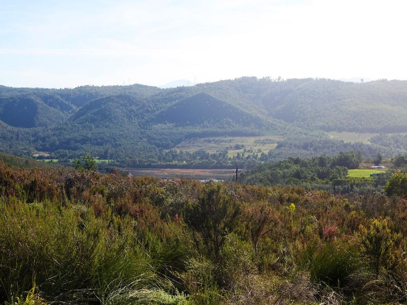 Where your vision meets the beauty of Knysna  - Photo 4