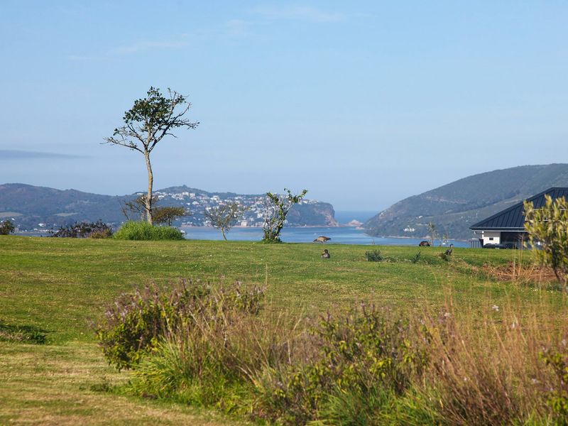 Where your vision meets the beauty of Knysna  - Photo 8