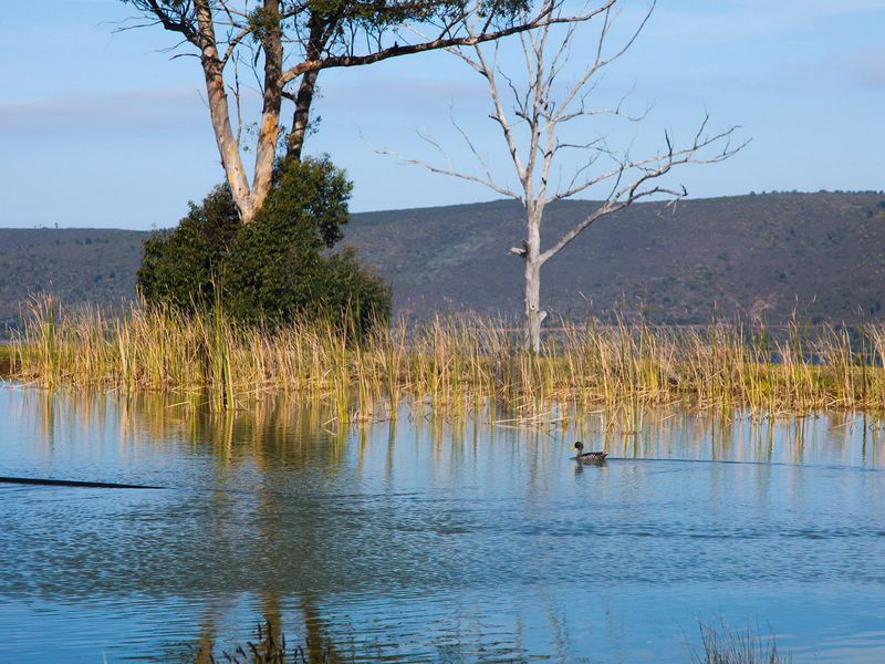 Where your vision meets the beauty of Knysna  - Photo 7
