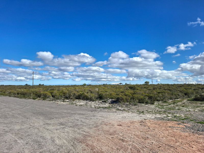 Exceptional Off-Grid Lifestyle Farm on 18 Hectares in Hartebeesfontein - Photo 4