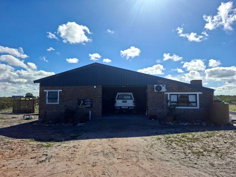 Exceptional Off-Grid Lifestyle Farm on 18 Hectares in Hartebeesfontein - Photo 3