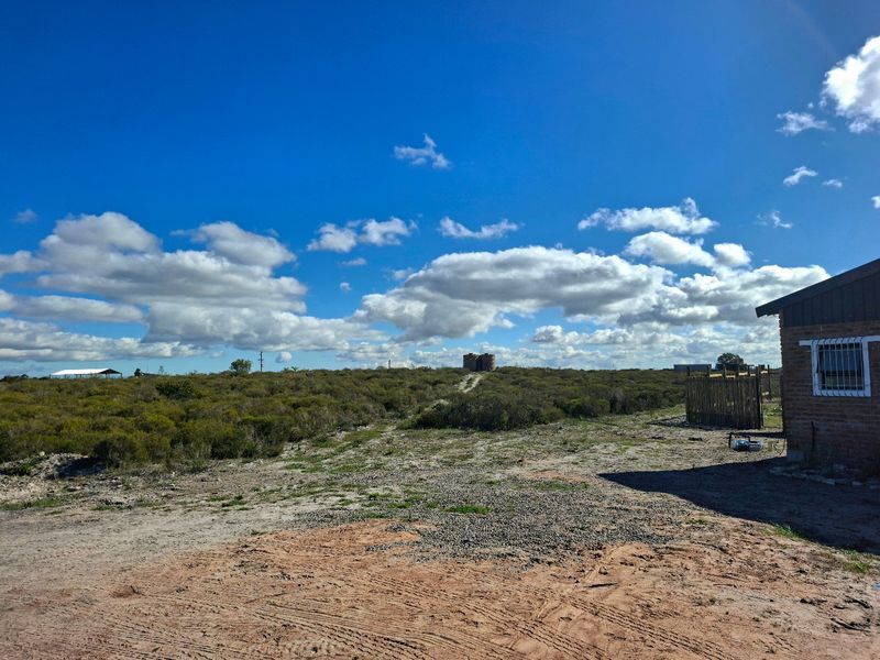 Exceptional Off-Grid Lifestyle Farm on 18 Hectares in Hartebeesfontein - Photo 5
