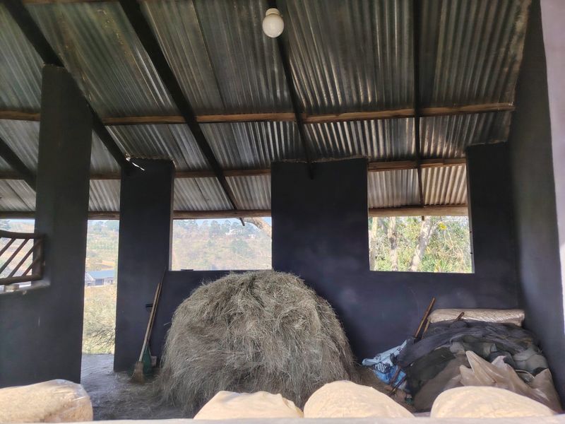 Charming 2-Bedroom Cottage to Let on a Peaceful Horse Property – Peacevale - Photo 6