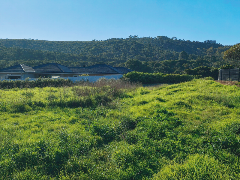 An amazing opportunity for professionals in popular Pienaarstrand. - Photo 8