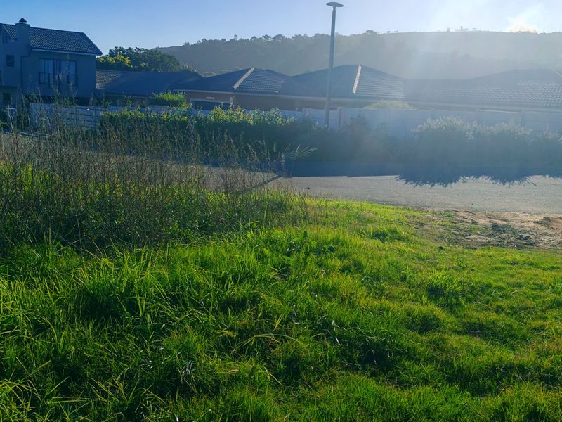 An amazing opportunity for professionals in popular Pienaarstrand. - Photo 7